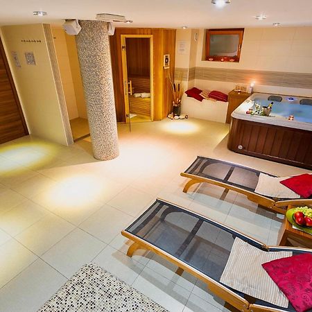 Villa Aina Boutique Hotel Laško Dış mekan fotoğraf