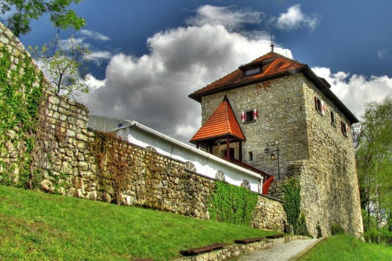 Villa Aina Boutique Hotel Laško Dış mekan fotoğraf