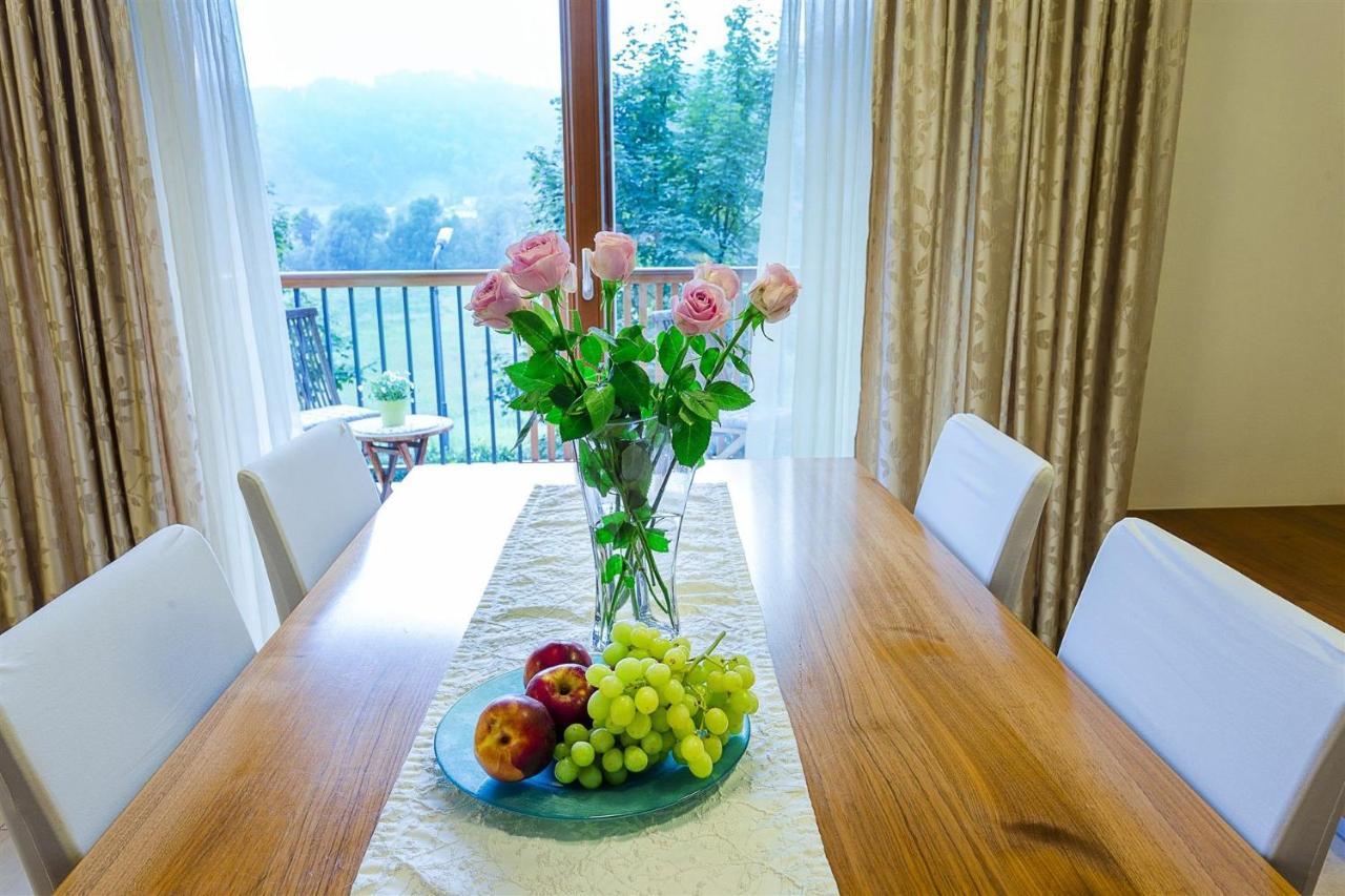 Villa Aina Boutique Hotel Laško Dış mekan fotoğraf