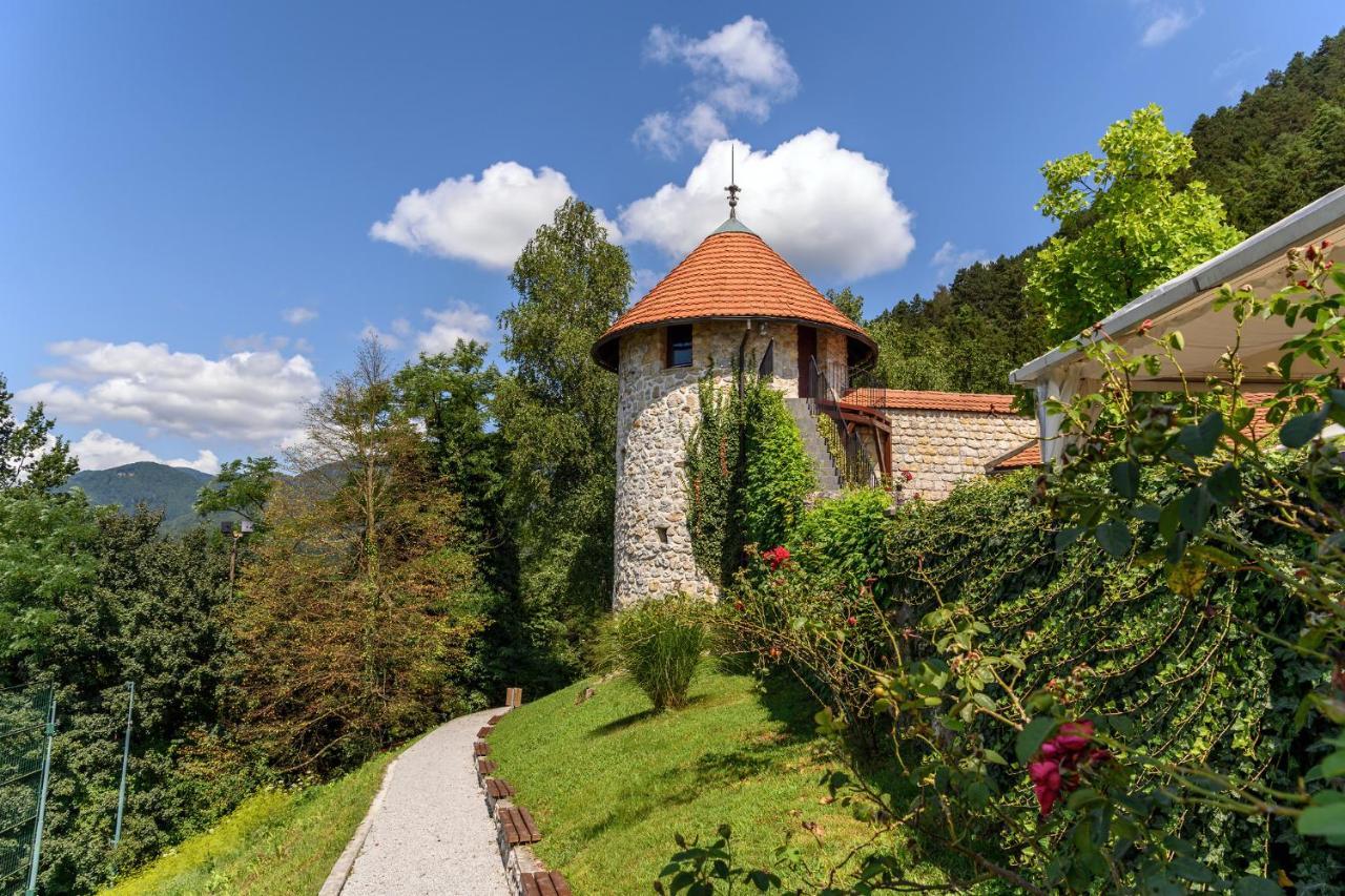 Villa Aina Boutique Hotel Laško Dış mekan fotoğraf