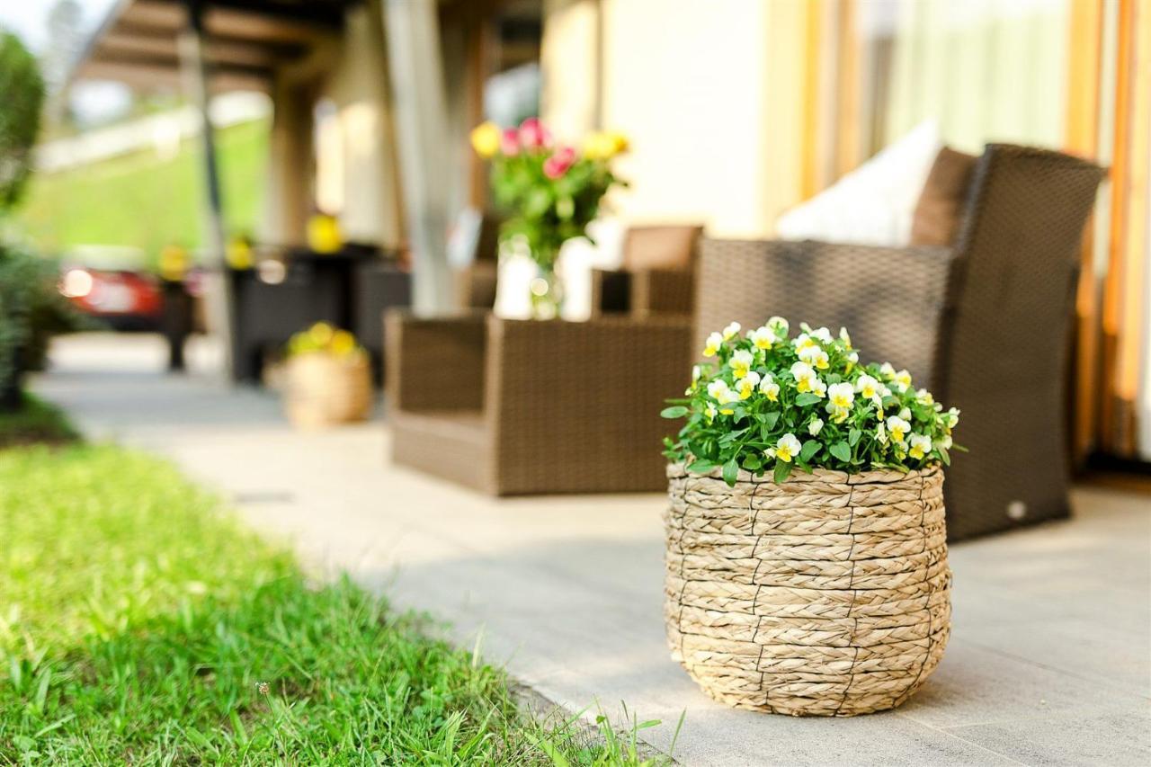 Villa Aina Boutique Hotel Laško Dış mekan fotoğraf